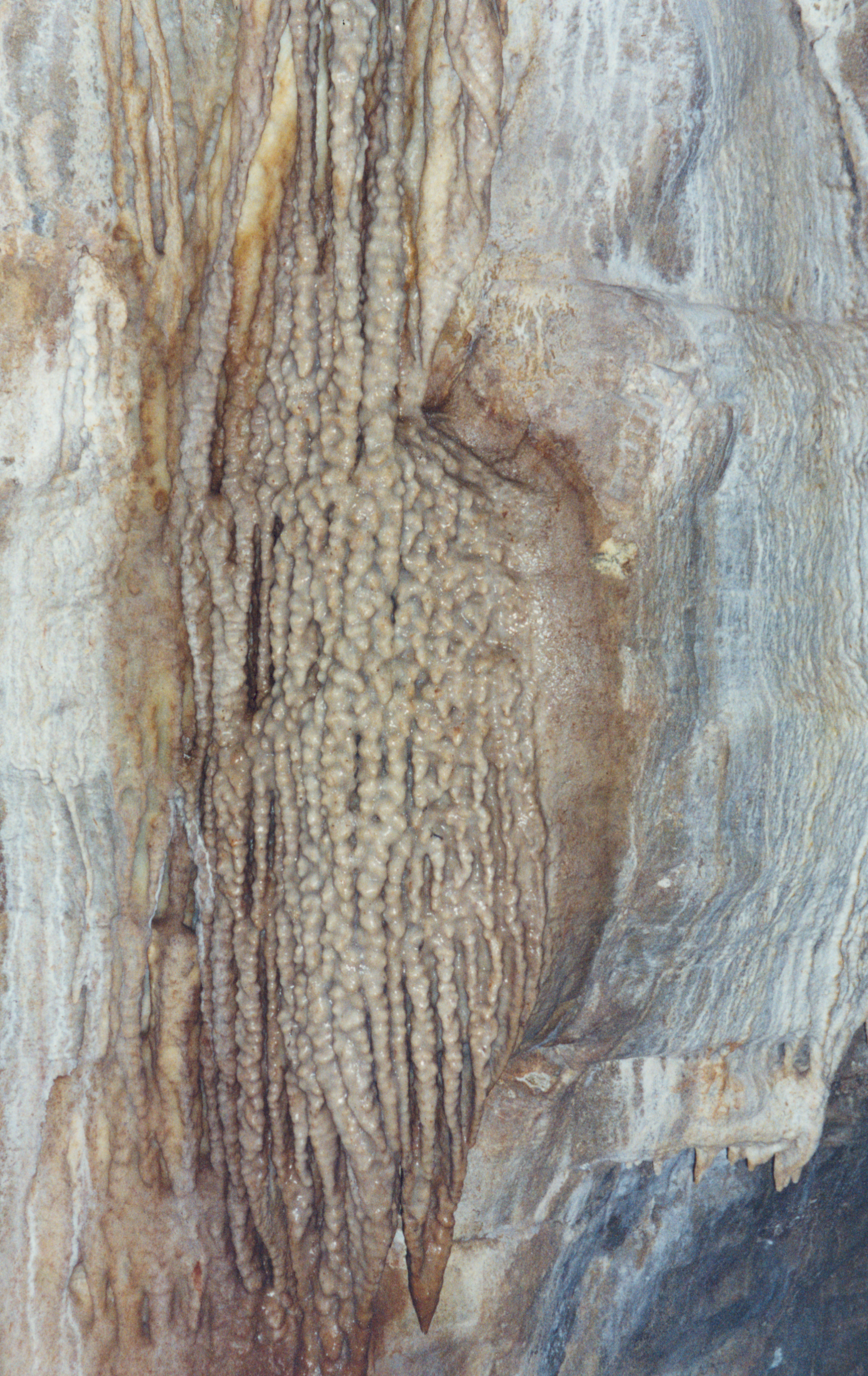 Leopard Skull Cave [Picture][Calcite formations on wall 3][19970720][PSwart]